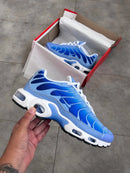Nike Air Max TN