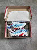 Nike Air Max TN